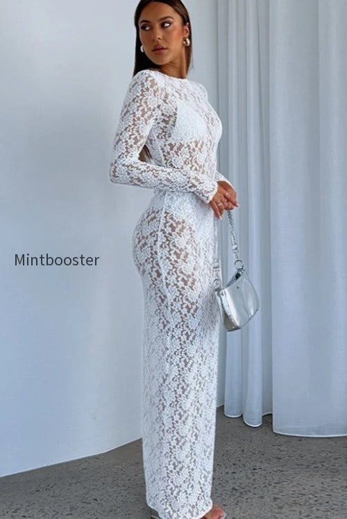 sheer-lace-cutout-pattern-bodycon-maxi-lace-dress