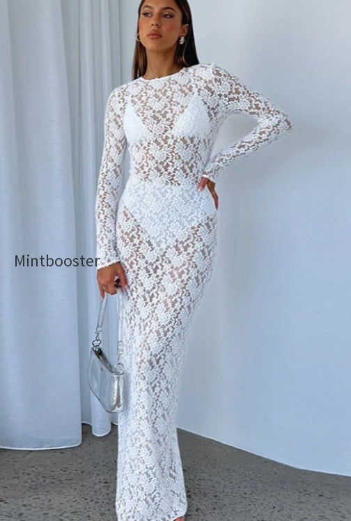 sheer-lace-cutout-pattern-bodycon-maxi-lace-dress