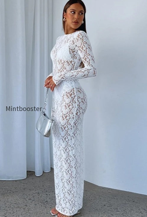sheer-lace-cutout-pattern-bodycon-maxi-lace-dress